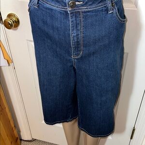 Classic Blue Denim Jean Shorts fo